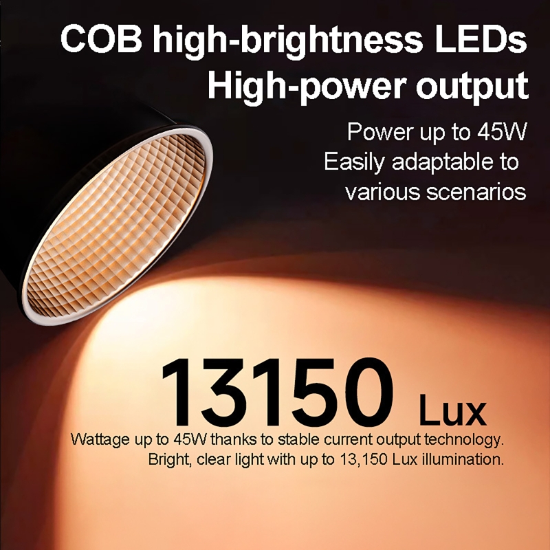 60W RGB Video Light Portable L - đánh giá và giá Photography Lightning