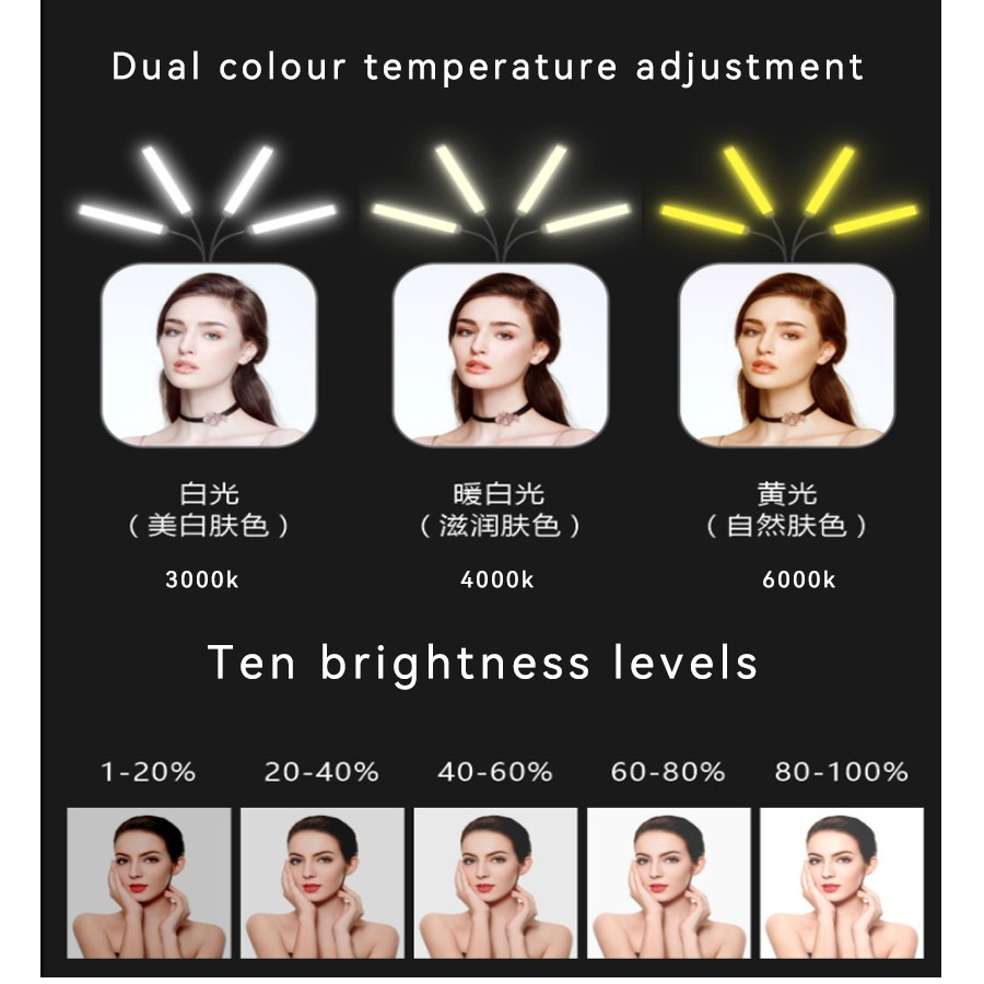 Dual Head / Quad Head / Hex He - đánh giá và giá Photography Lighting No Shadows